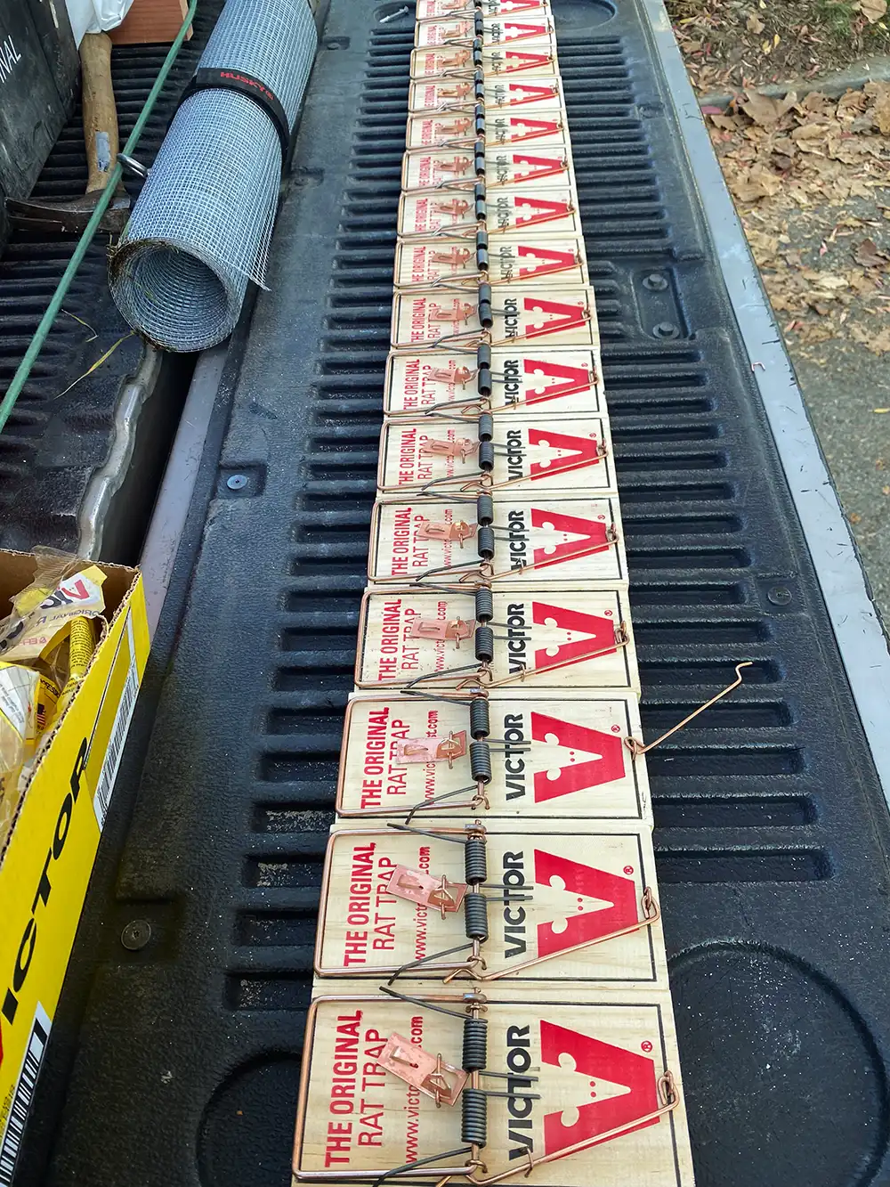 Line of rodent traps.