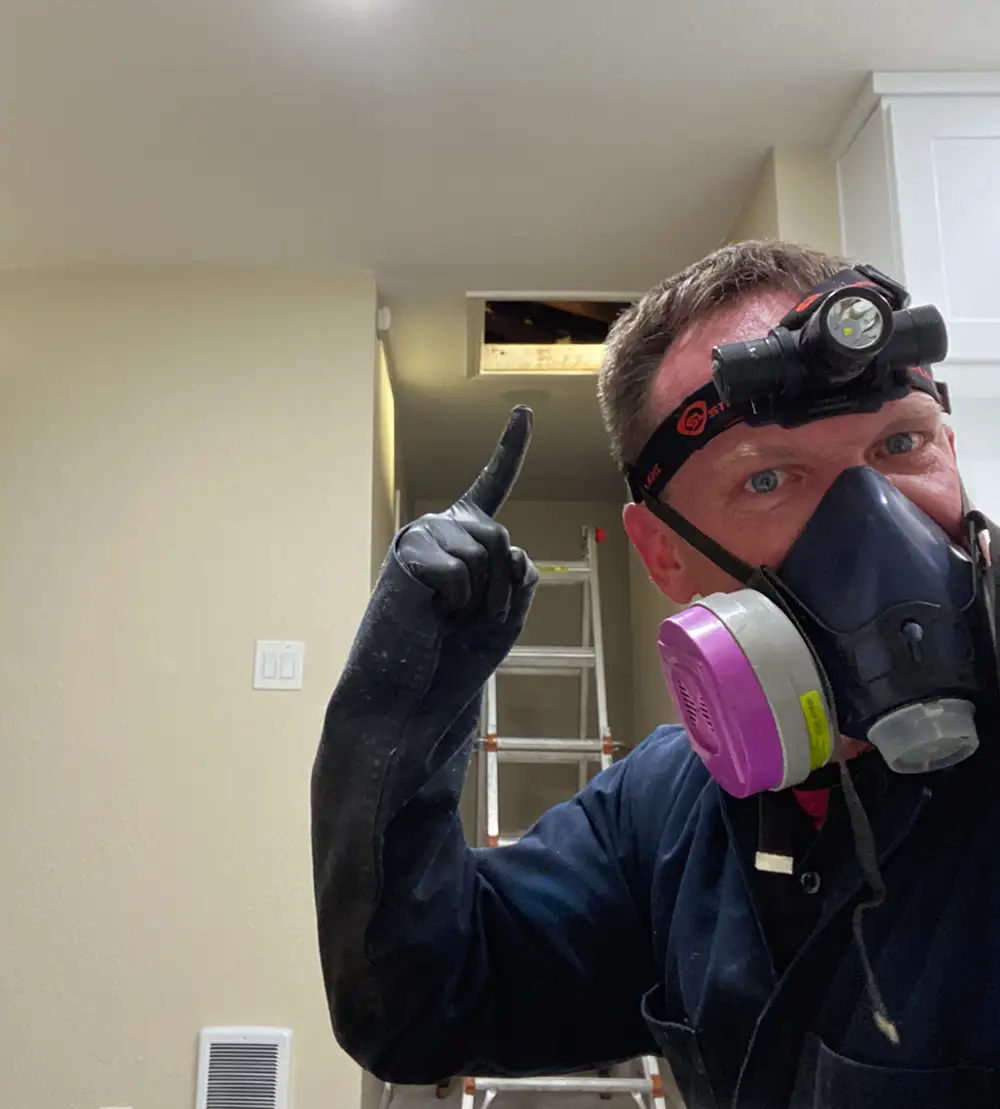 Pointing at the attic.